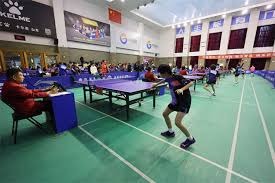 [乒乓球]王楚钦／孙颖莎迎来混双两连胜